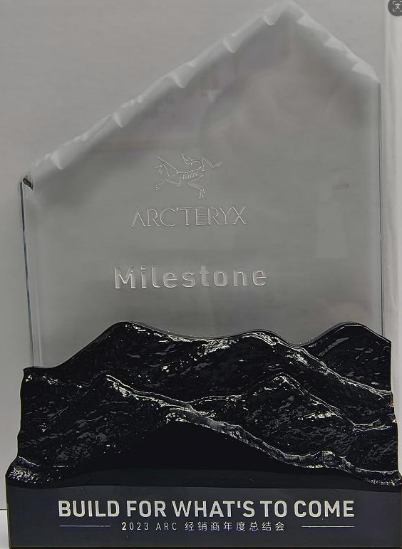 MiteStone 水晶奖牌 · BUILD FOR WHAT'S TO COME
