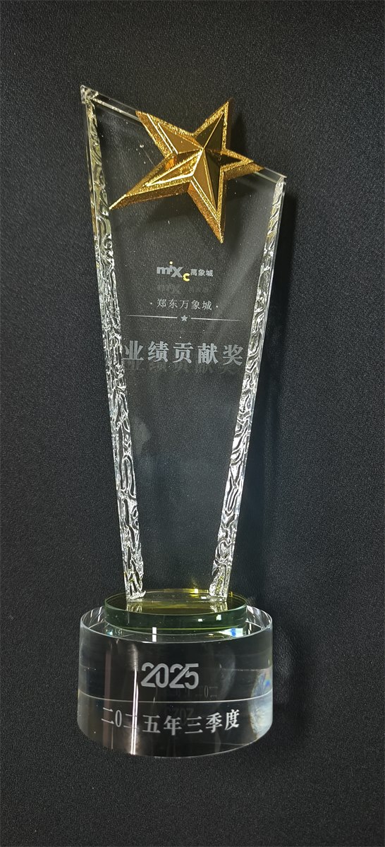MR.Y 象木百强奖牌 · 2025