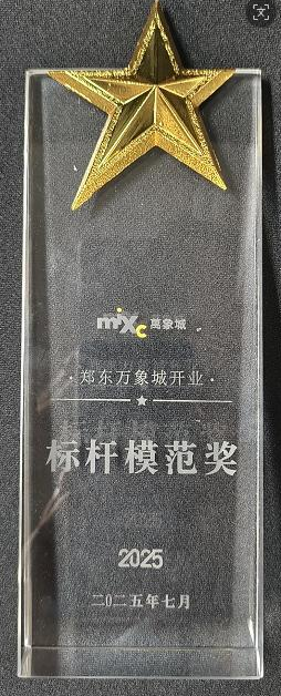 标杆模范奖 · 2025