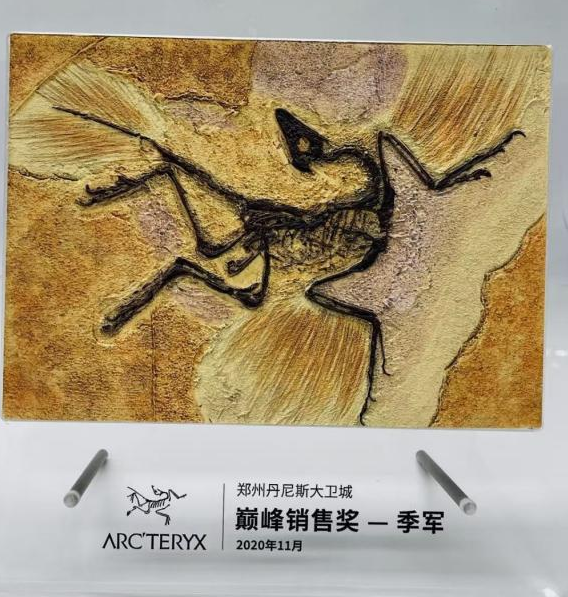 ARC'TERYX 巅峰销售季一等奖
